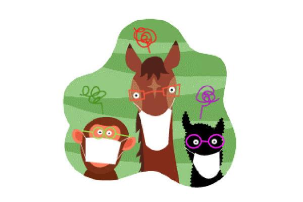 动物也会得花粉症 库博光学coopervision